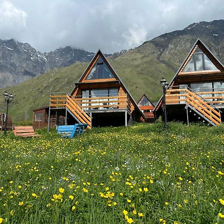 T&T Cottage Kazbegi Εξωτερικό φωτογραφία