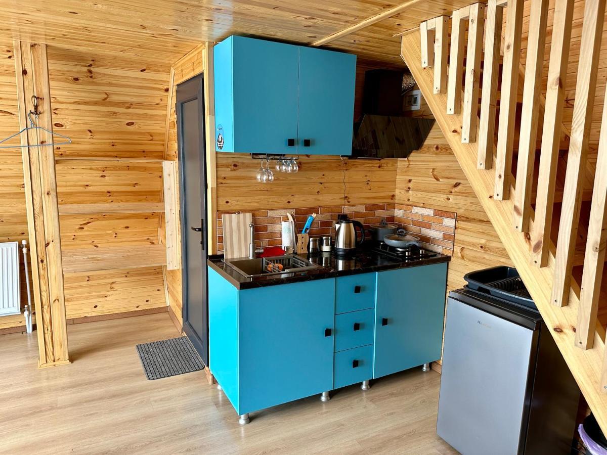 T&T Cottage Kazbegi Εξωτερικό φωτογραφία